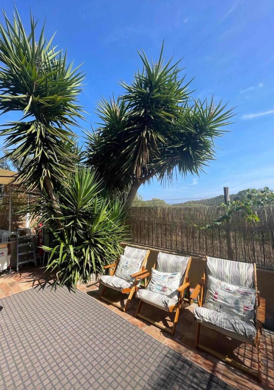 Apartament Yucca Olbia Zewnętrze zdjęcie